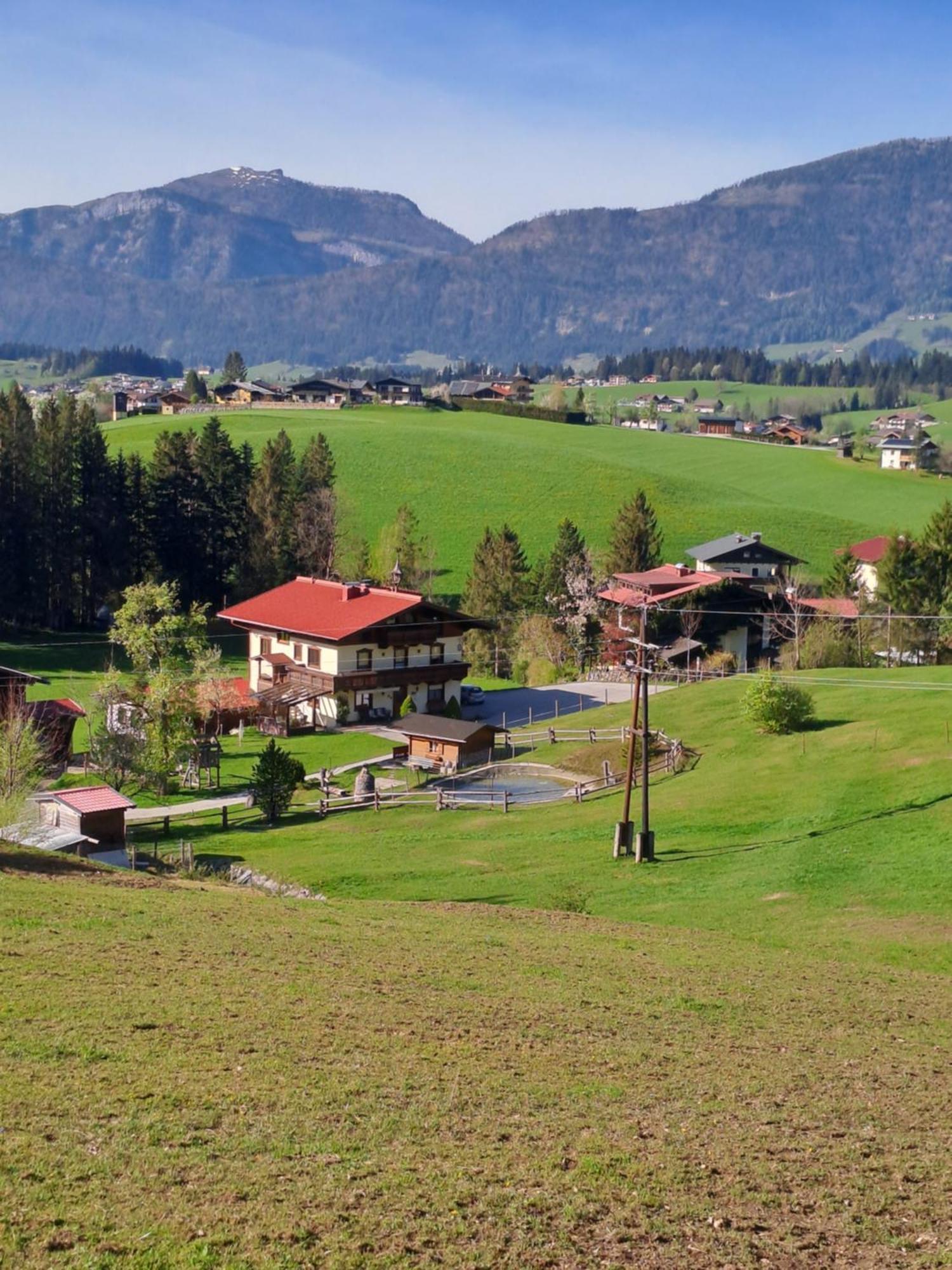 Haus Wallinger Abtenau Buitenkant foto