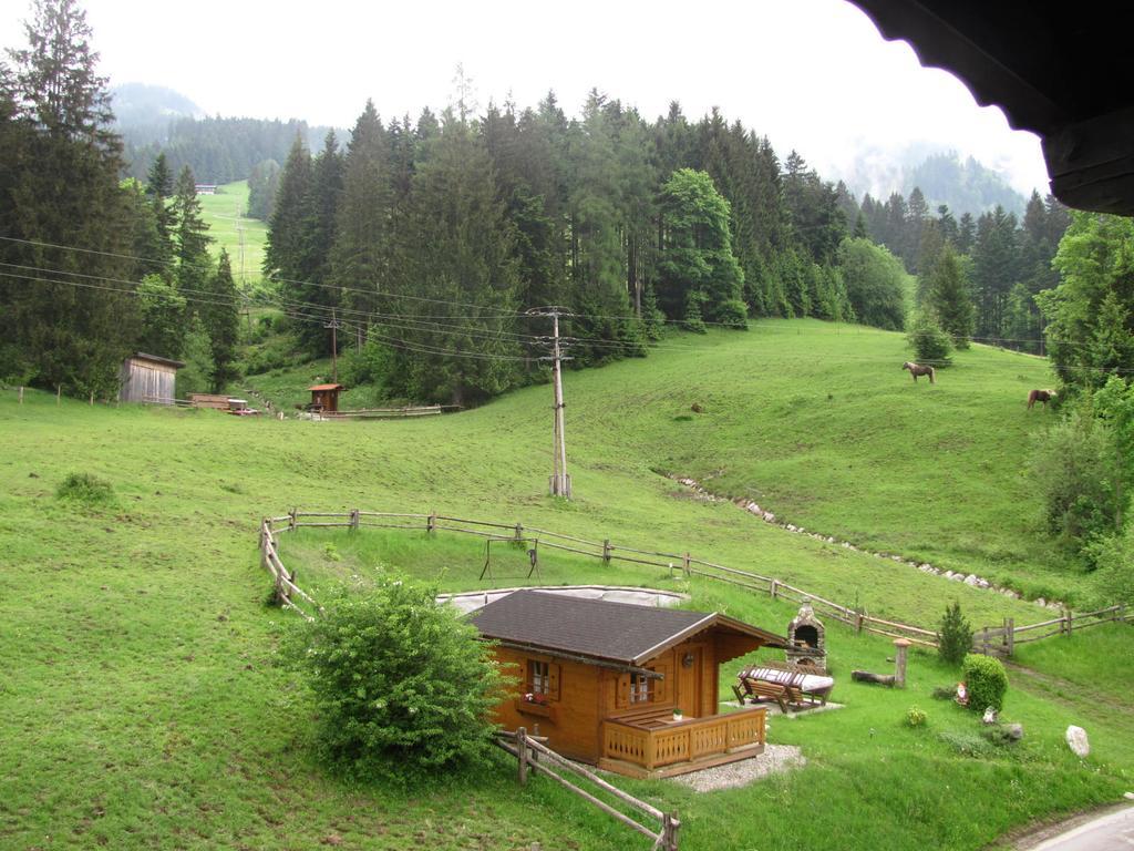 Haus Wallinger Abtenau Buitenkant foto